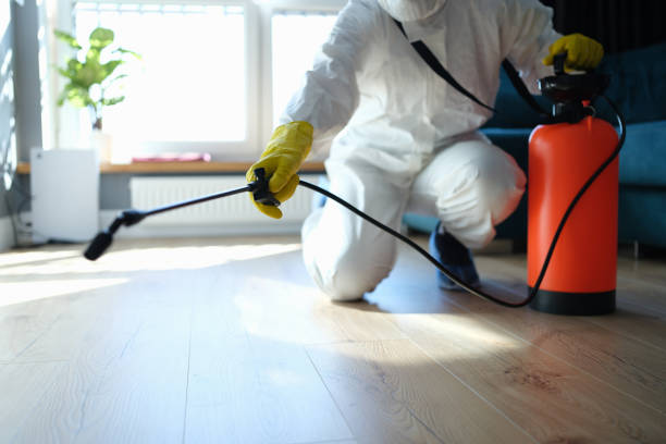 Reliable Sewage Cleanup contractor in Belleville, AR by Trauma Clean Pros